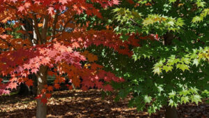 Making an Informed Decision